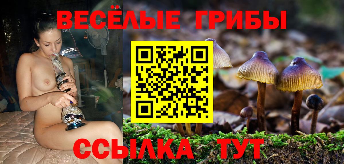 Галлюциногенные грибы Cubensis Губкинский