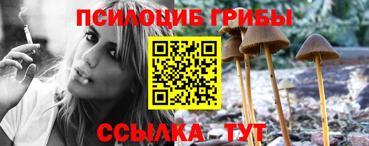 Галлюциногенные грибы мухоморы  Вход с VPN  как найти закладки  Губкинский  Псилоцибиновые грибы Psilocybe 